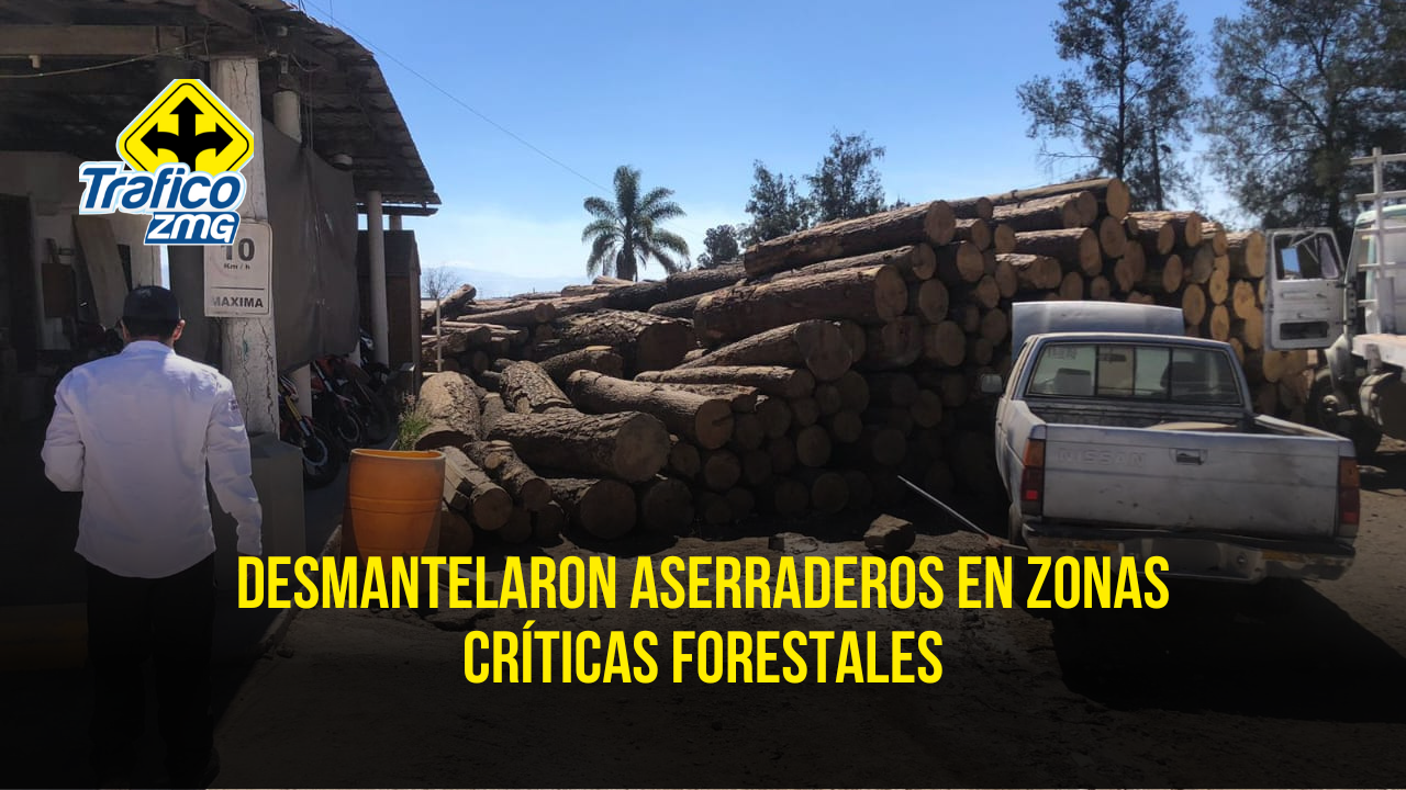 Clausuraron y desmantelaron aserraderos; uno de ellos fue en Gómez Farías, Jalisco