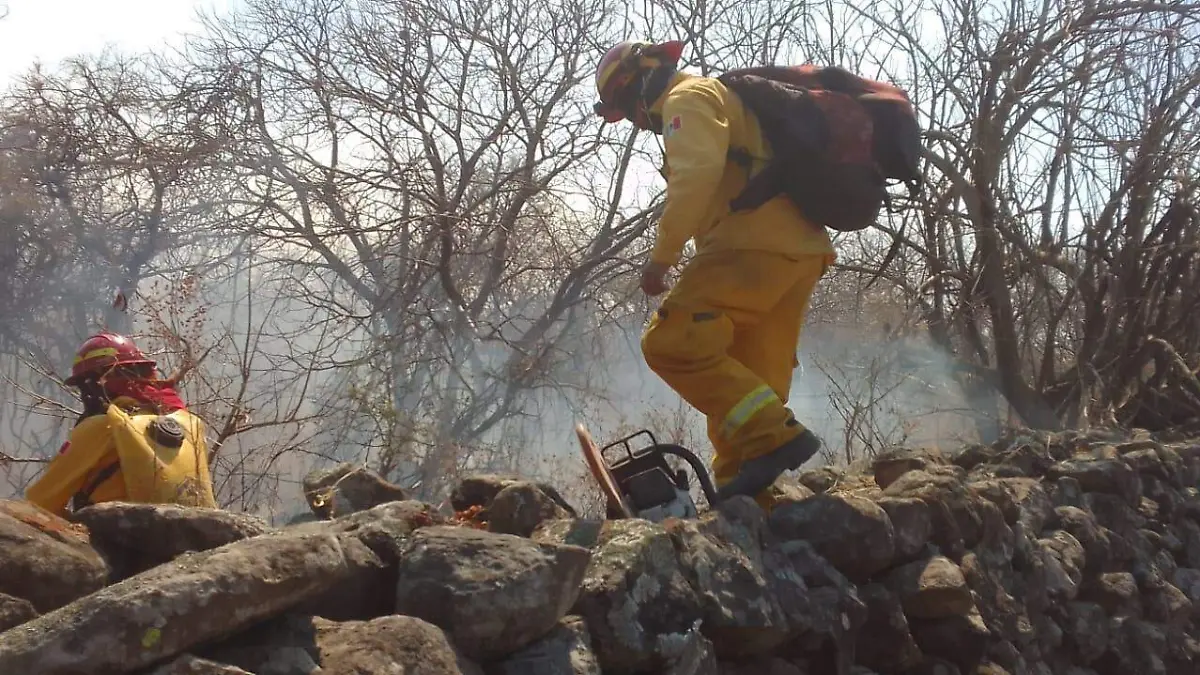 Incendio en Colomos III es sofocado por bomberos de Zapopan y Guadalajara