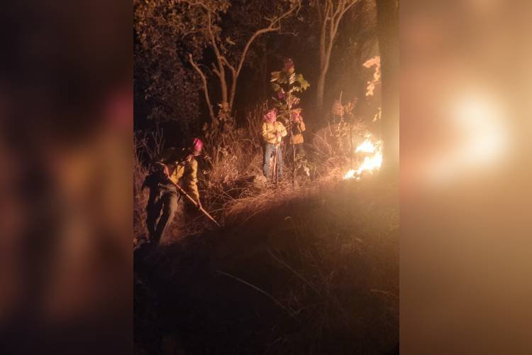 Activa Semadet dos alertas por incendios en Zapopan 