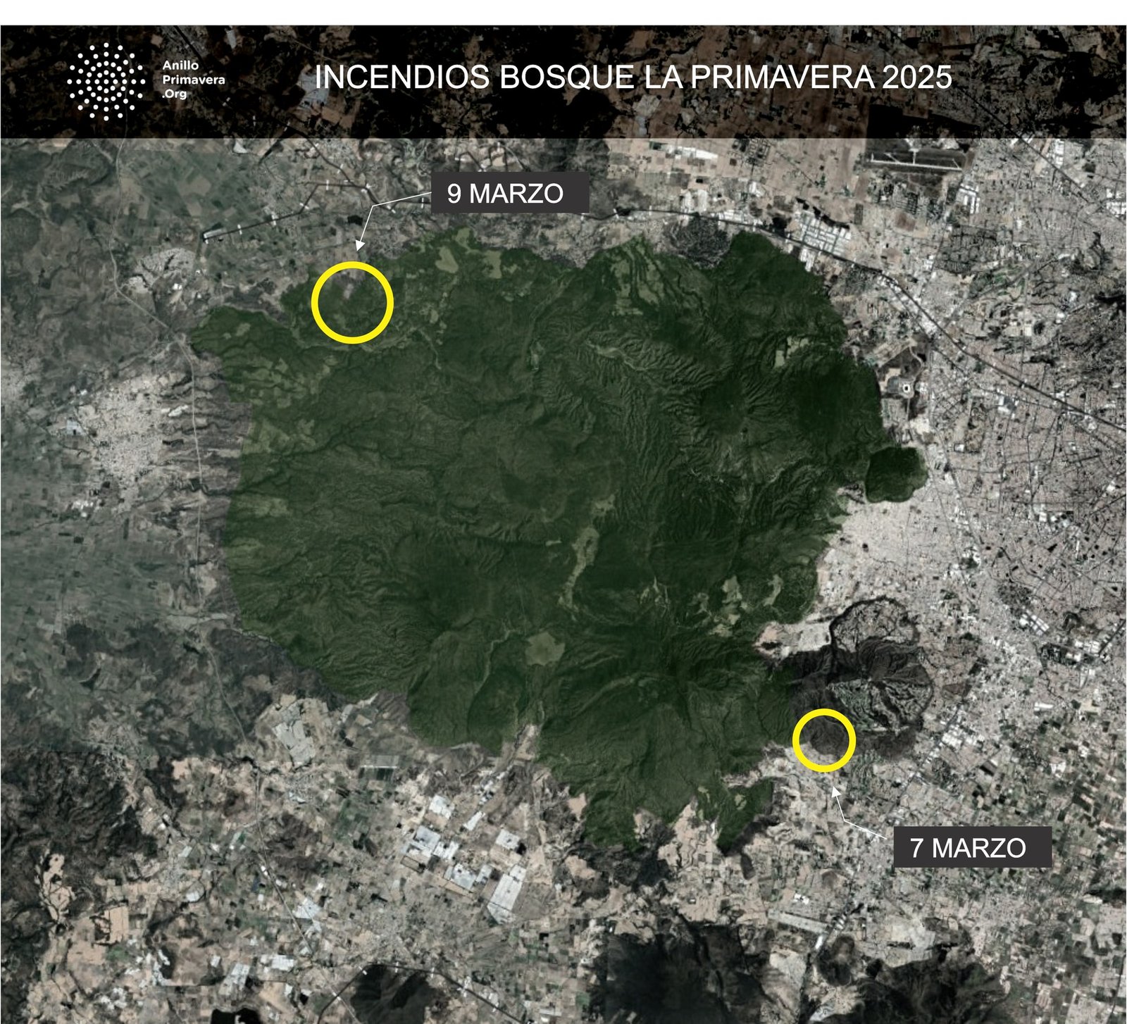 Durante los últimos días se han registrado incendios en el Bosque La Primavera