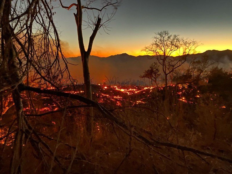 Combaten incendios forestales en la Costa de Jalisco