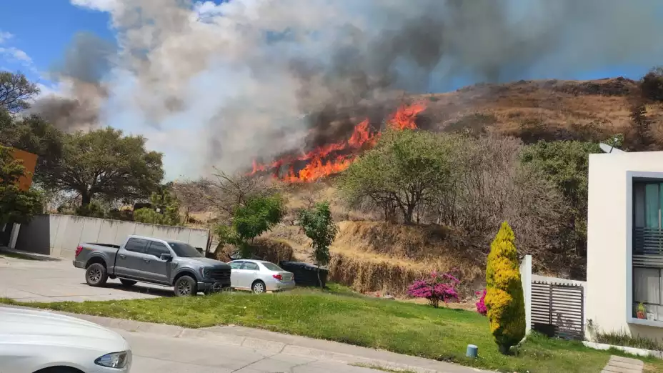 Pulmón de Guadalajara: Esto es todo lo que está en riesgo por el incendio en el Bosque de la Primavera