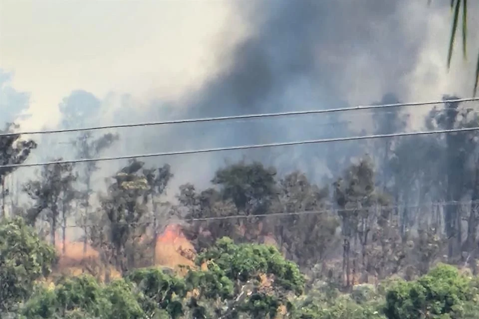 Temen 20% más incendios forestales en Jalisco