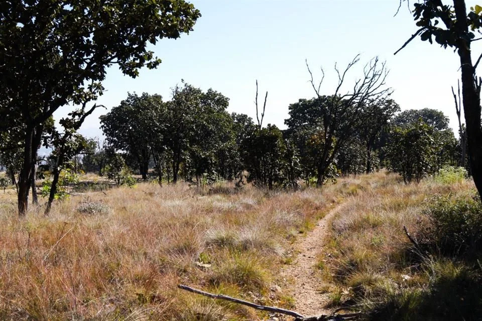 Inicia Semadet mesas para declarar a El Tajo Área Protegida