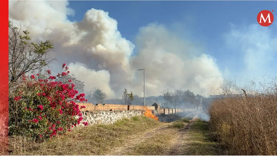 SEMADET ha activado ocho veces durante este año contingencia ambiental en Jalisco