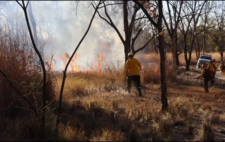 Sofocan incendio forestal en el Bosque El Centinela