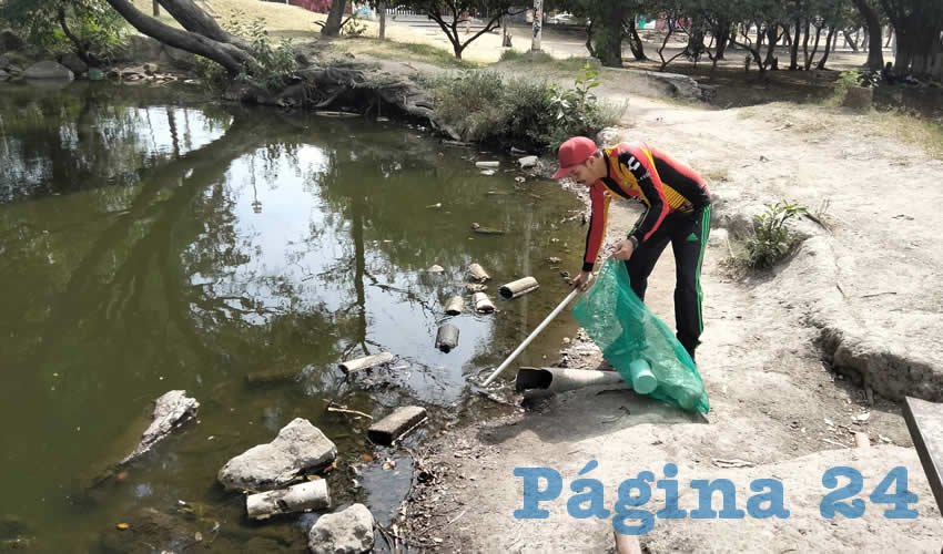 Vecinos Intentan Salvar Parque de los Patos