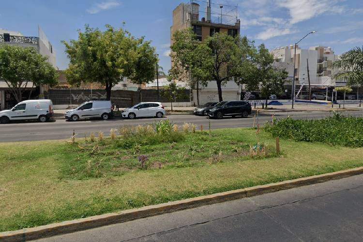 Denuncian daños a siembra de Coamil Federalismo