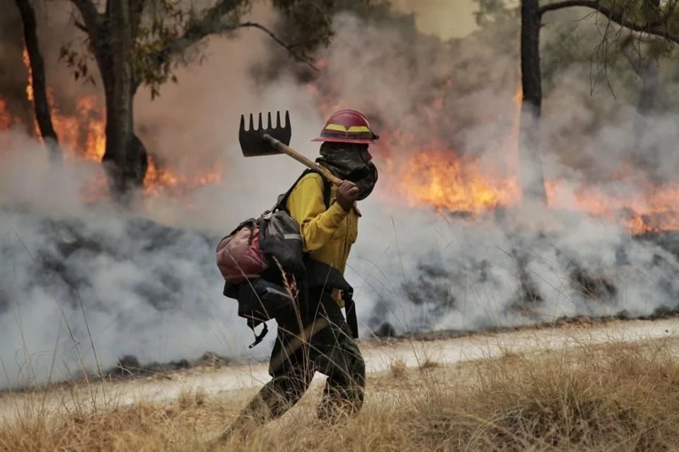 Jalisco encabeza incendios forestales