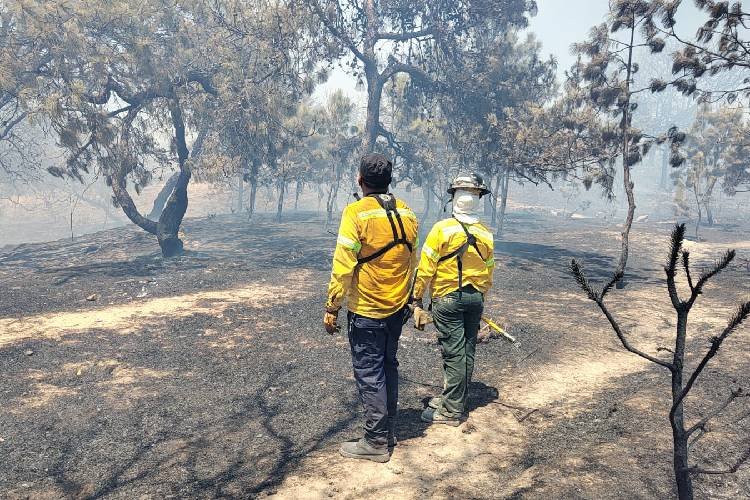 Denuncian daños en Bosque Nixticuil tras incendio