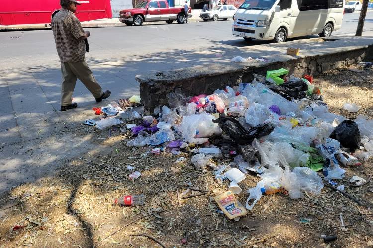 Mejora ambiental incluye a la población: académica