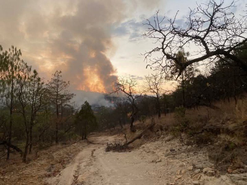 Activan Alerta Atmosférica en tres municipios por incendio forestal