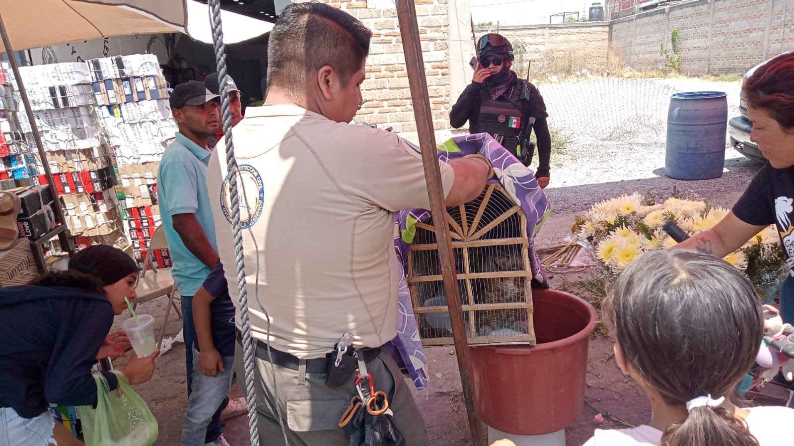 Detienen a sujeto en Tala por intento de venta ilegal de un búho