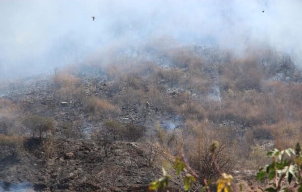 Combaten incendio forestal en Mascota