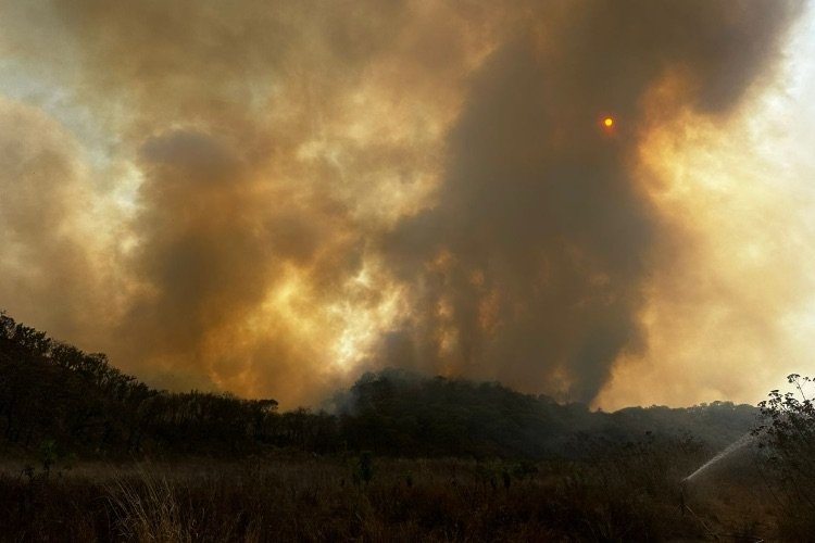Reportan incendio forestal en Tala