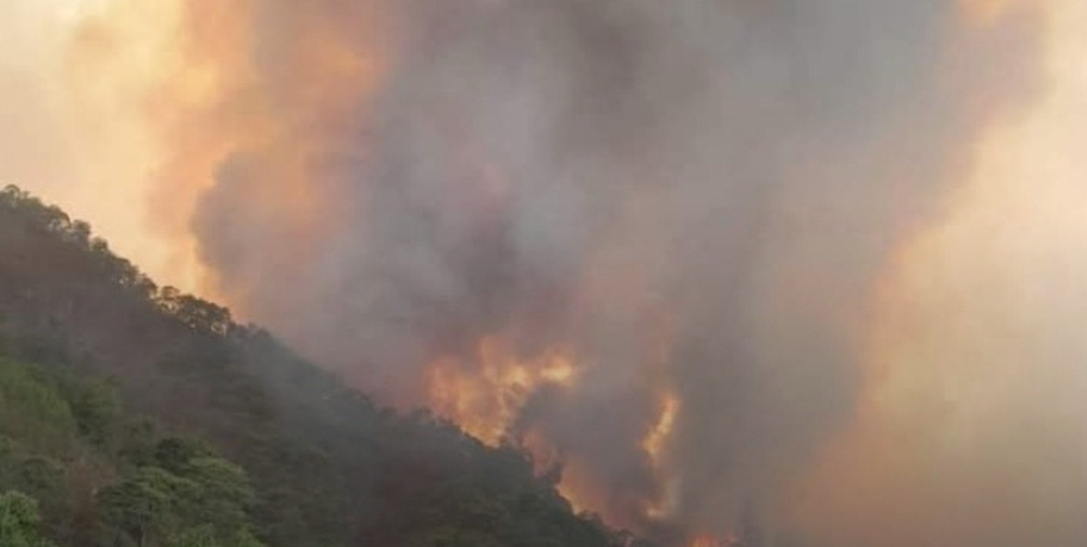 Brigadistas sofocan incendio forestal en Casimiro Castillo