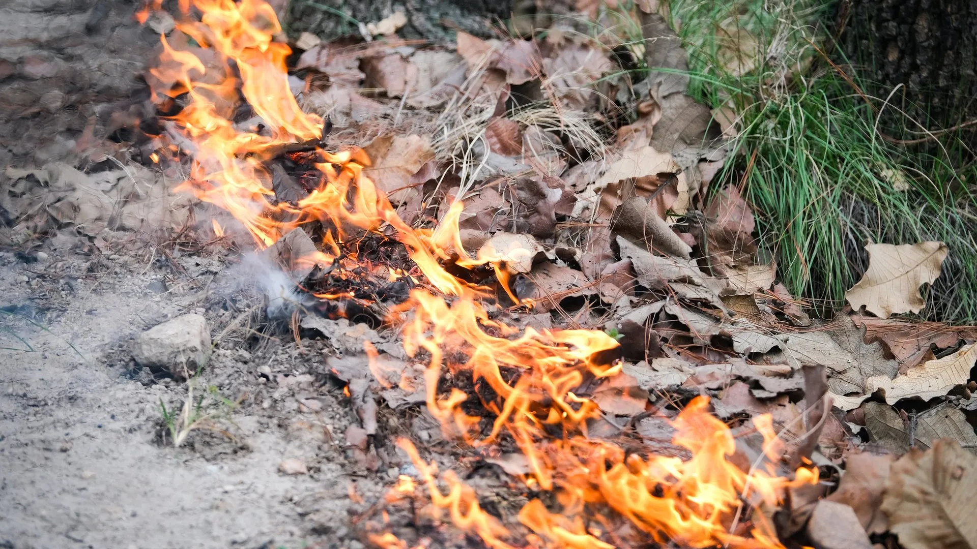 Por dos incendios, activan alerta atmosférica en Casimiro Castillo
