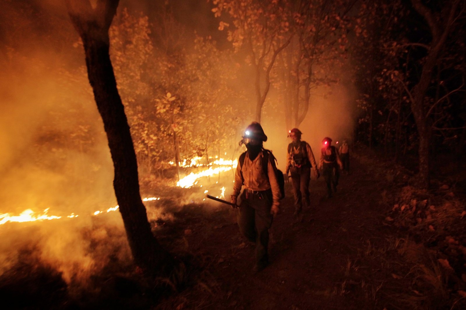 Jalisco, de nuevo primer lugar nacional en incendios forestales