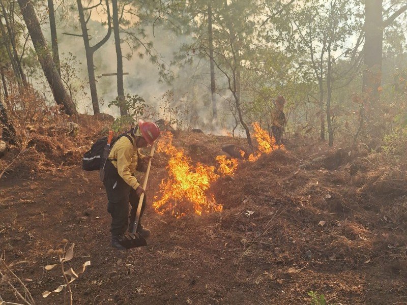 Mantienen combate contra incendio en Mazamitla