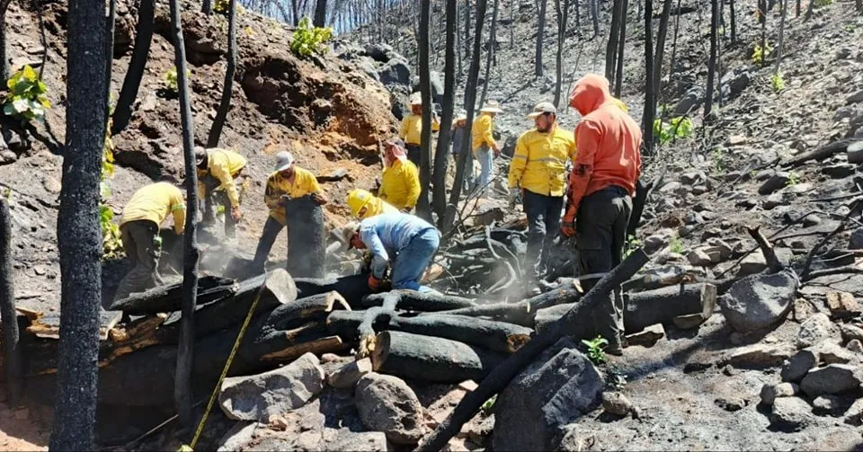 Realizan diagnósticos en zonas quemadas tras incendio en Sierra de Quila