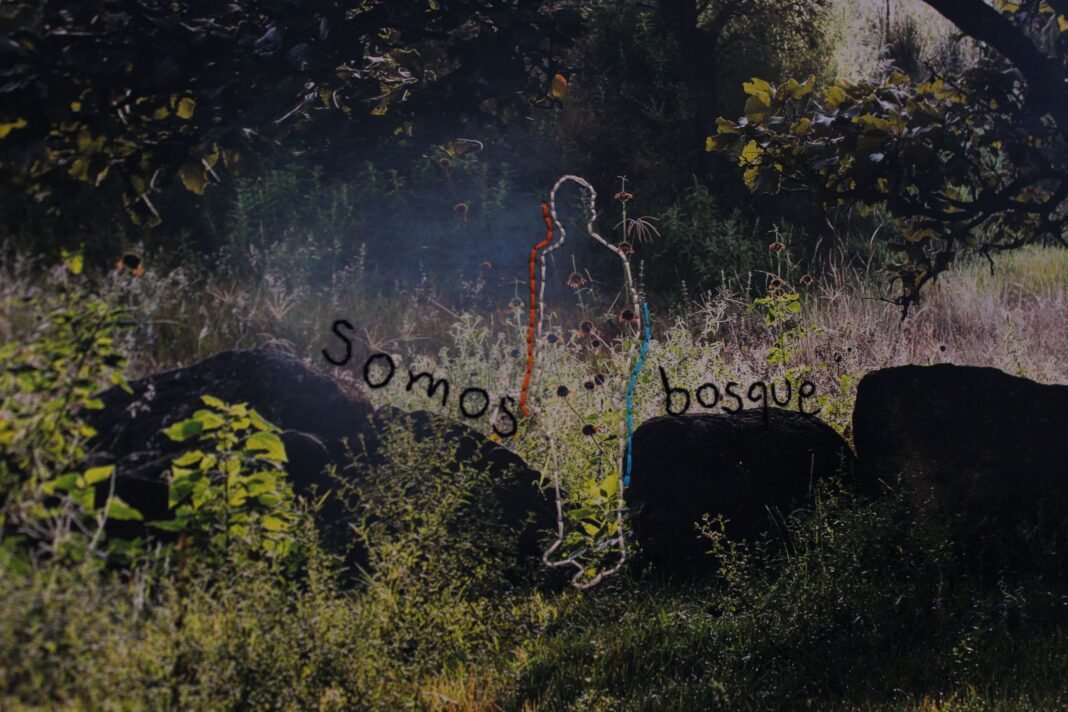 “Somos uno con el bosque”: 20 años de lucha y resistencia del Comité de Defensa del Bosque Nixticuil