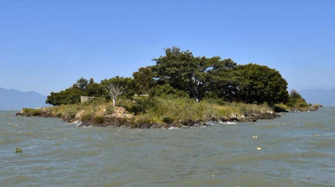 El lago de Chapala se mantiene en el 47.6 % de su capacidad; no se recupera pese a lluvias