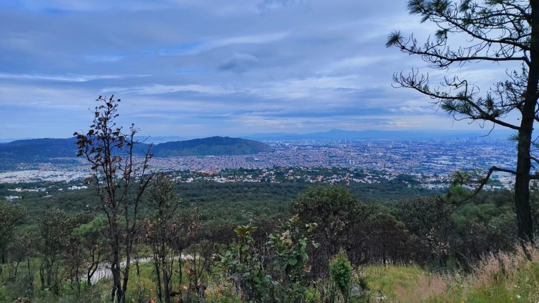 Los PPDU de Zapopan y el ordenamiento voraz: una amenaza al equilibrio ambiental