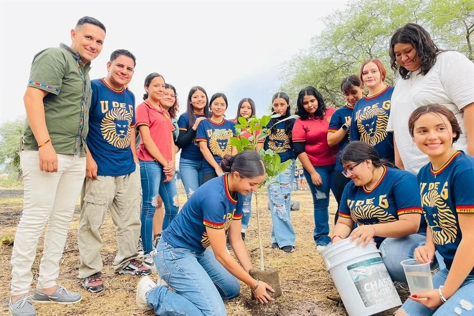 Plantarán mil árboles en San Martín Hidalgo