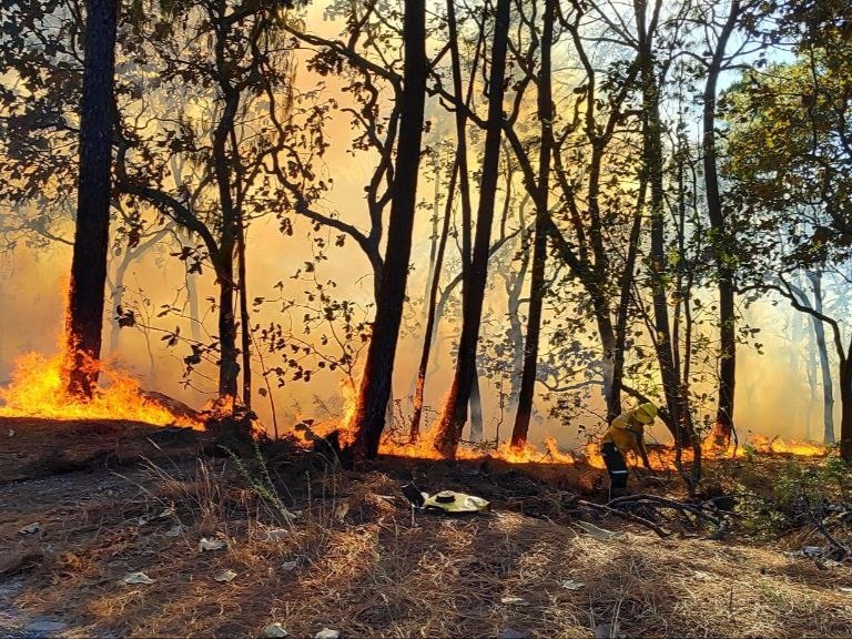 Incendios afectaron más de 15 mil hectáreas en la región