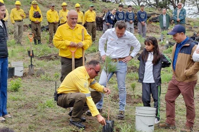 Plan de reforestación masiva en Jalisco incluye sólo 136 mil árboles