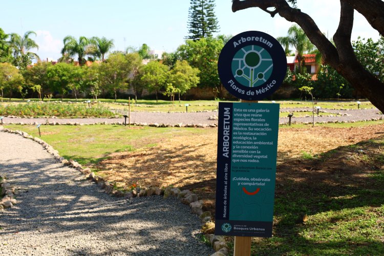 Inaugura AMBU el Arboretum Flores de México en el Parque Natural Huentitán