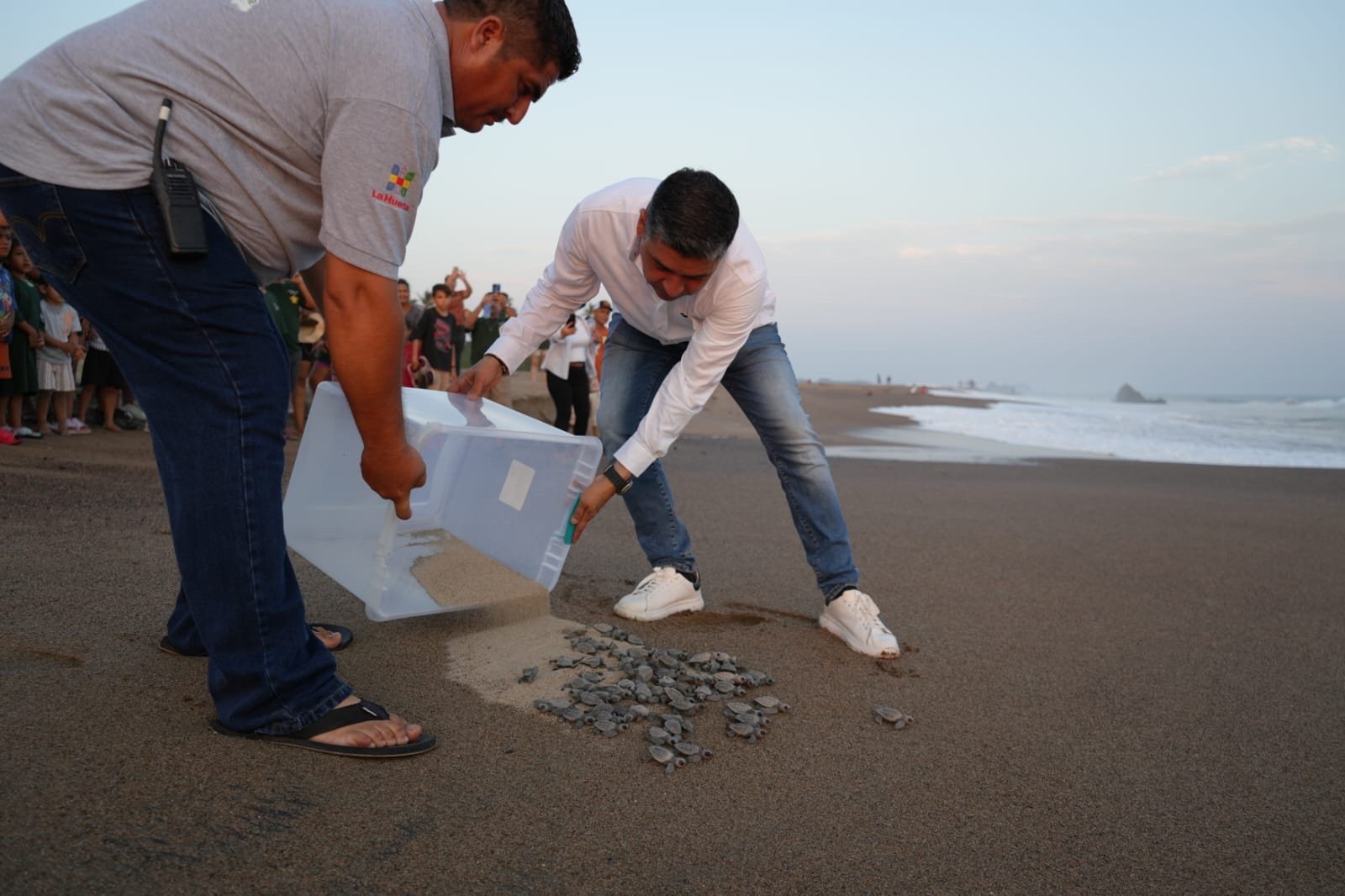 La Huerta libera tortugas y entrega suministros al Campamento El Tecuán