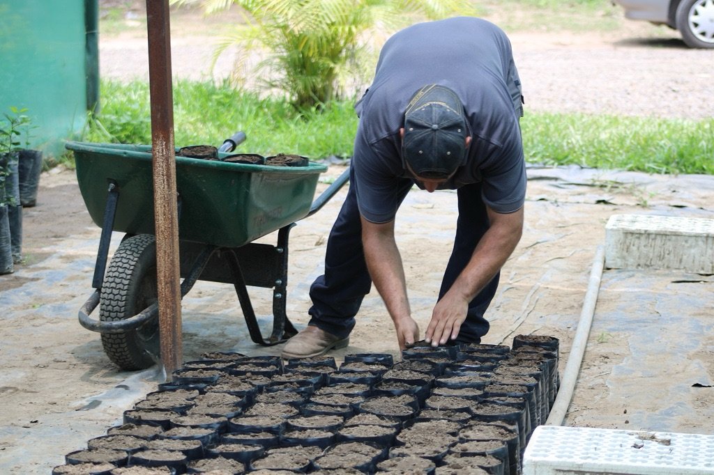 Huerta dona entre 75 y 120 plantas diarias