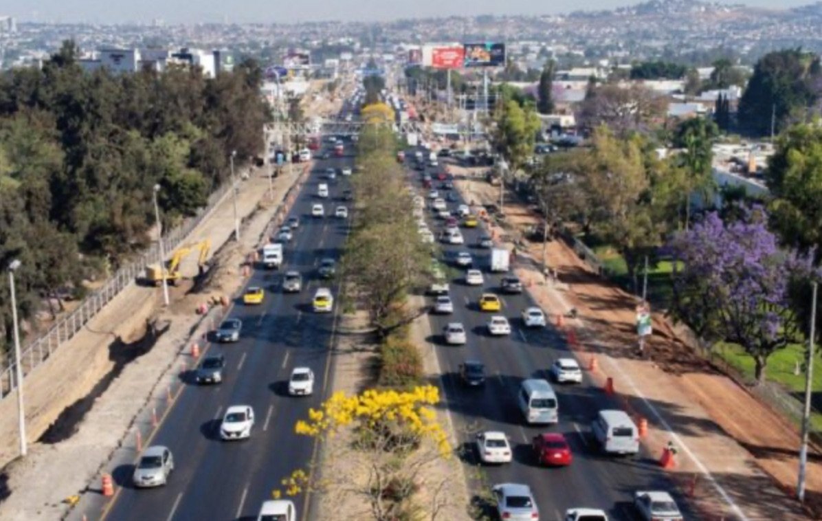 Retiran 387 árboles por obras del BRT en Carretera a Chapala