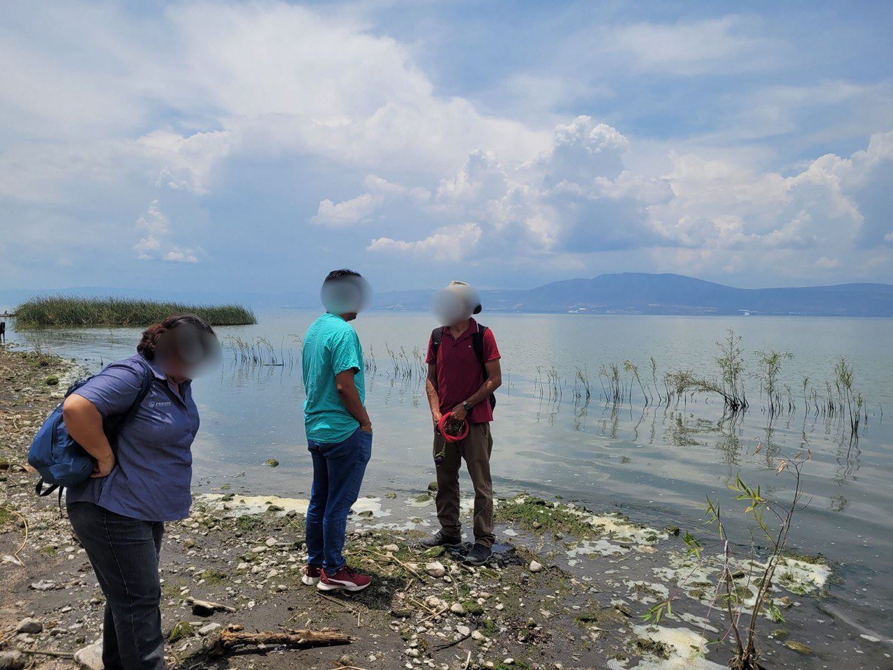 Conagua dejó de monitorear la calidad del agua en el lago de Chapala