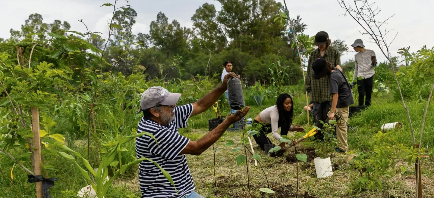 En Juanacatlán siembran un bosque que sobreviva al fin del mundo