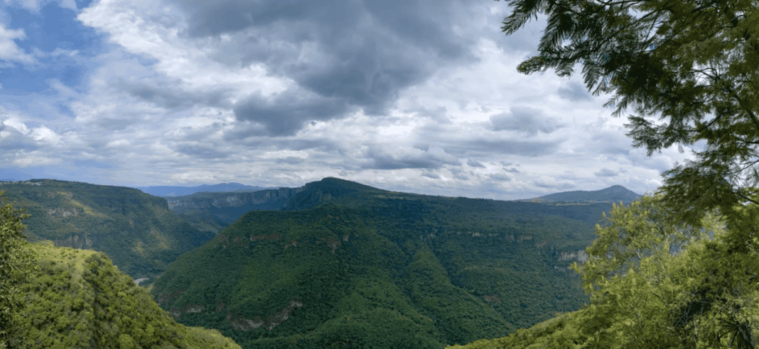 ñLa memoria que respira entre los árboles de Huentitán