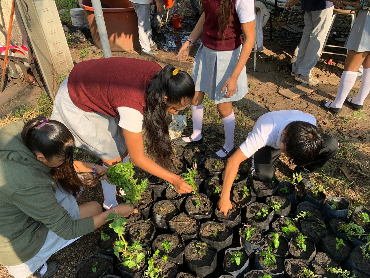 Cultivar salud, educación y comunidad desde la parcela escolar