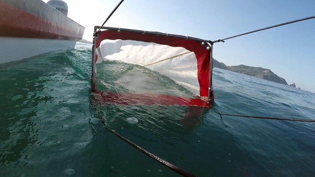 Investigadora del CUCSur da recomendaciones para disminuir microplásticos en el mar