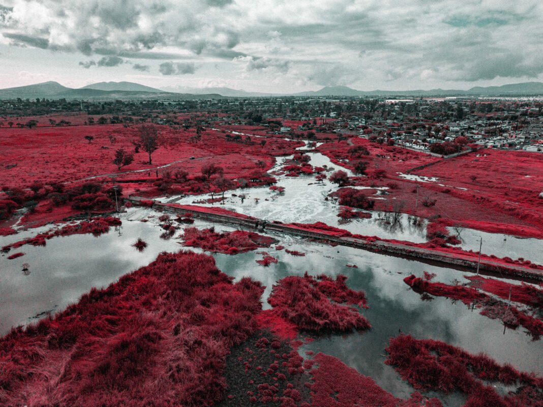 La Marca del Agua triunfa en Verano Vienes con el premio al mejor cortometraje documental
