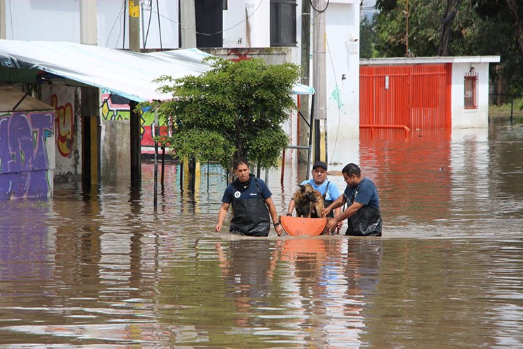 Plantean fortalecer capacidades comunitarias frente a inundaciones  