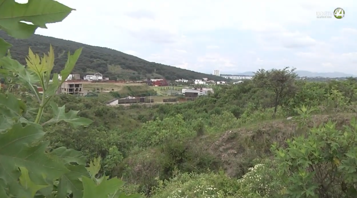 Territorio Reportaje | Bosque La Primavera, 45 años. 2 parte. La protección de El Bajío