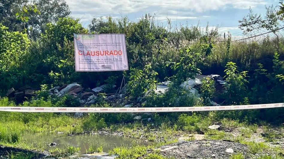 El Bosque de Los Colomos se salva: clausuran terreno y tribunal frena urbanización