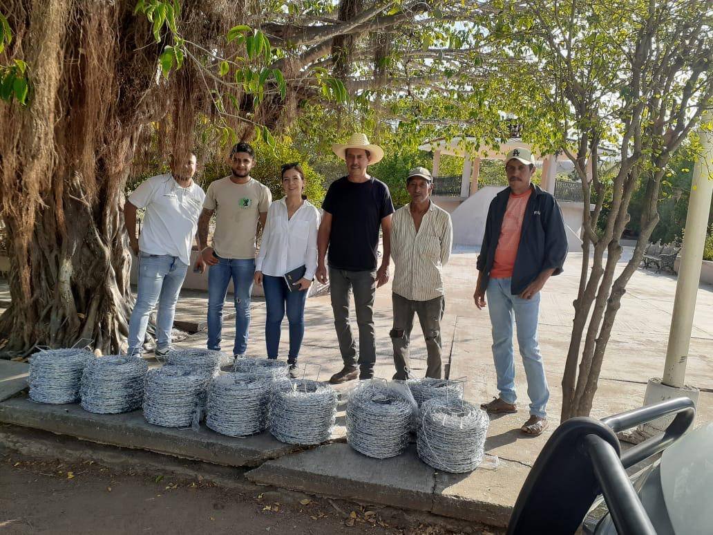 JICOSUR trabaja en ranchos modelo de prácticas silvopastoriles