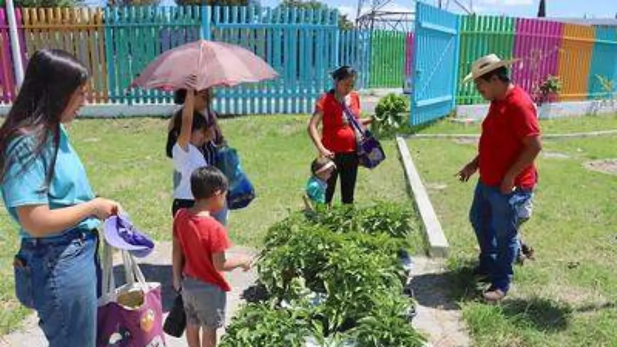 Zapopan impulsa ‘Huertos Urbanos’ para unir a las familias