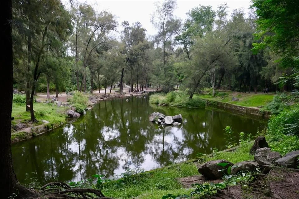 Supera Jalisco meta de reforestación