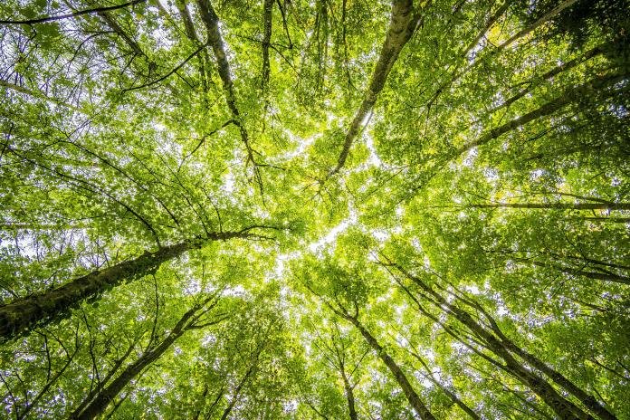 Avalan reforma que “blinda” a las áreas naturales protegidas