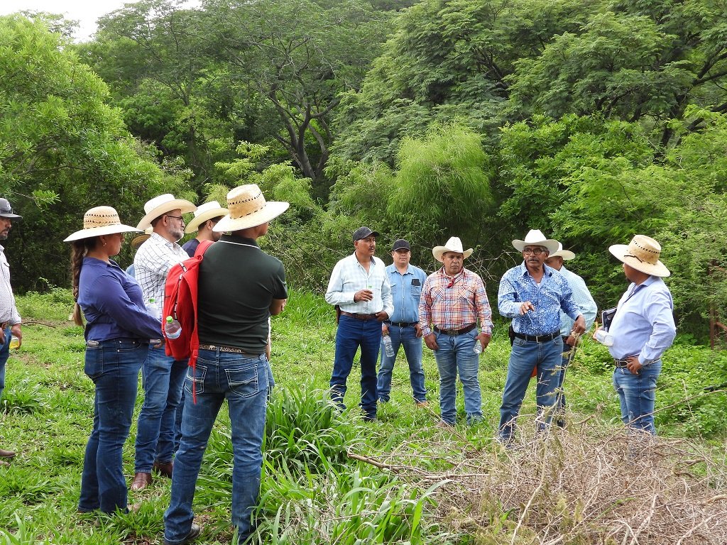 Comparten experiencias exitosas de Escuelas de Campo de la región