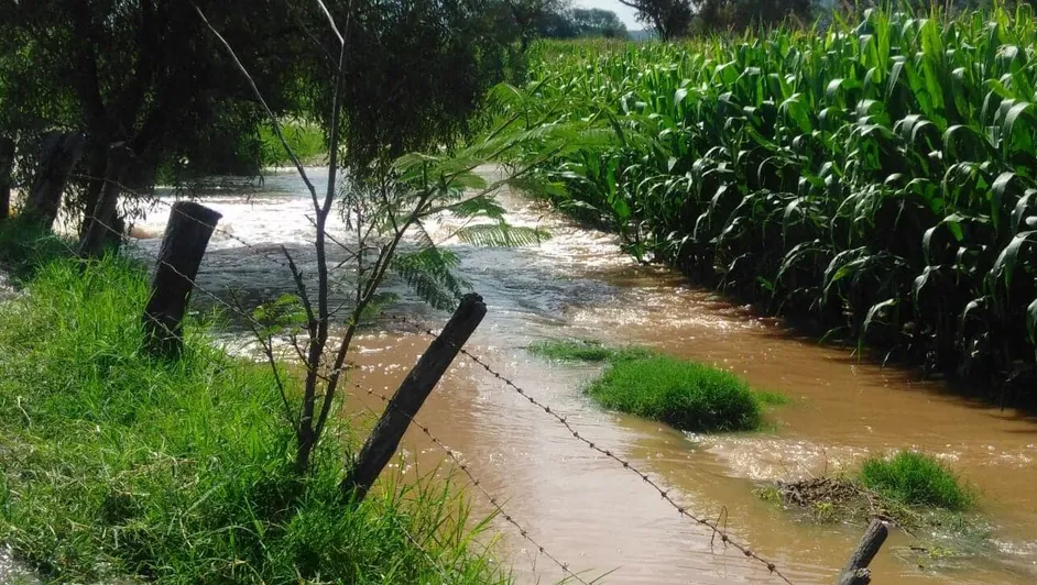 Ocotlán emite Declaratoria de Emergencia tras desbordamiento del río Zula