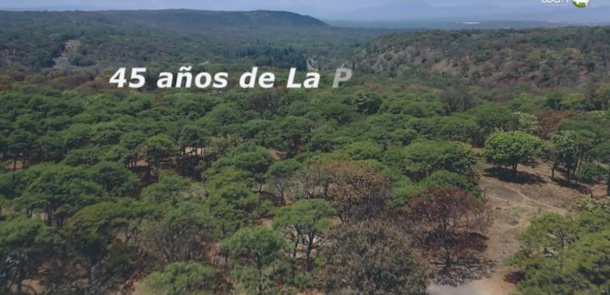 Territorio Reportaje | Bosque La Primavera, 45 años. 3 parte. Corredores en riesgo